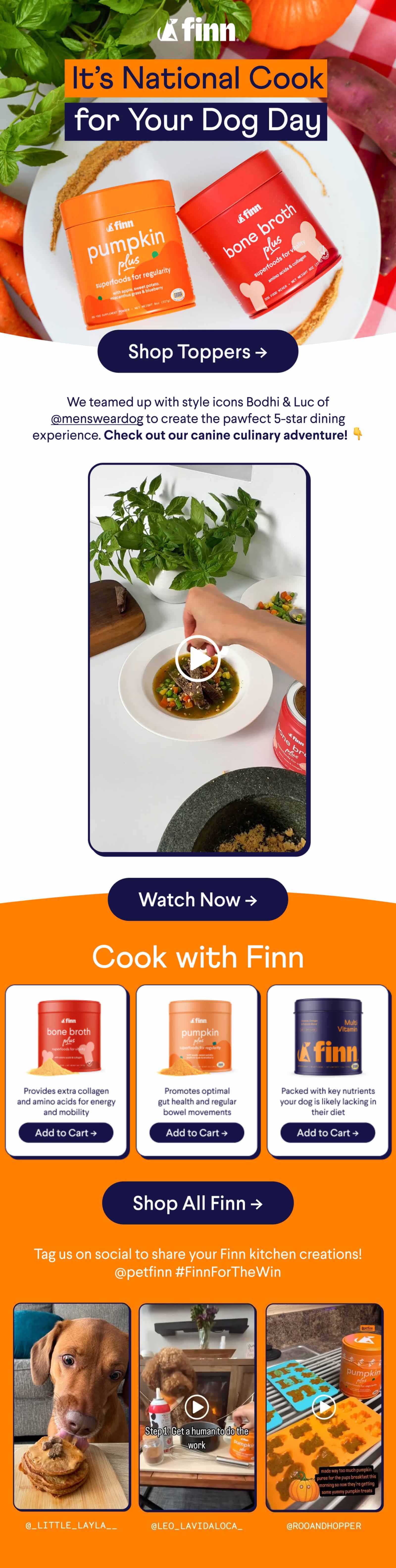 A screenshot of a marketing campaign example from Finn.