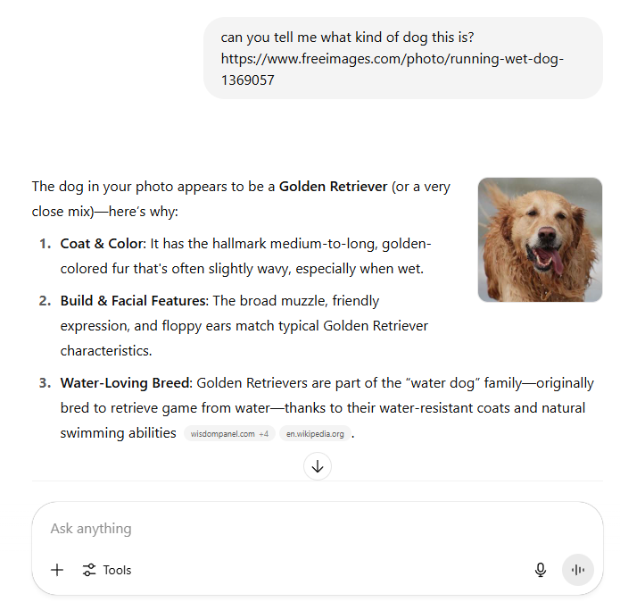 ChatGPT identifying an image