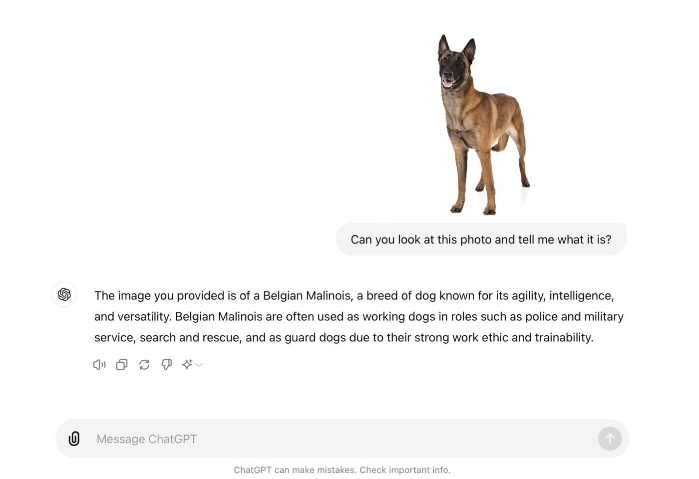 ChatGPT identifying an image