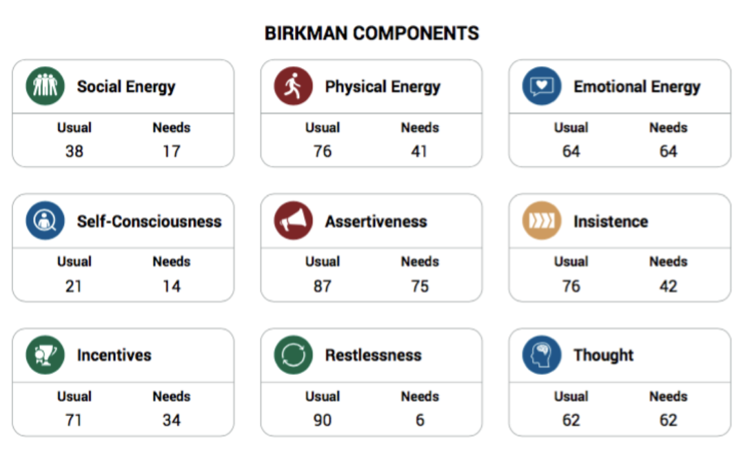 Screenshot of a Birkman report