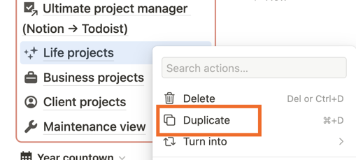 Screenshot of a navigation pane in Notion, with "Life projects" and "Duplicate" highlighted