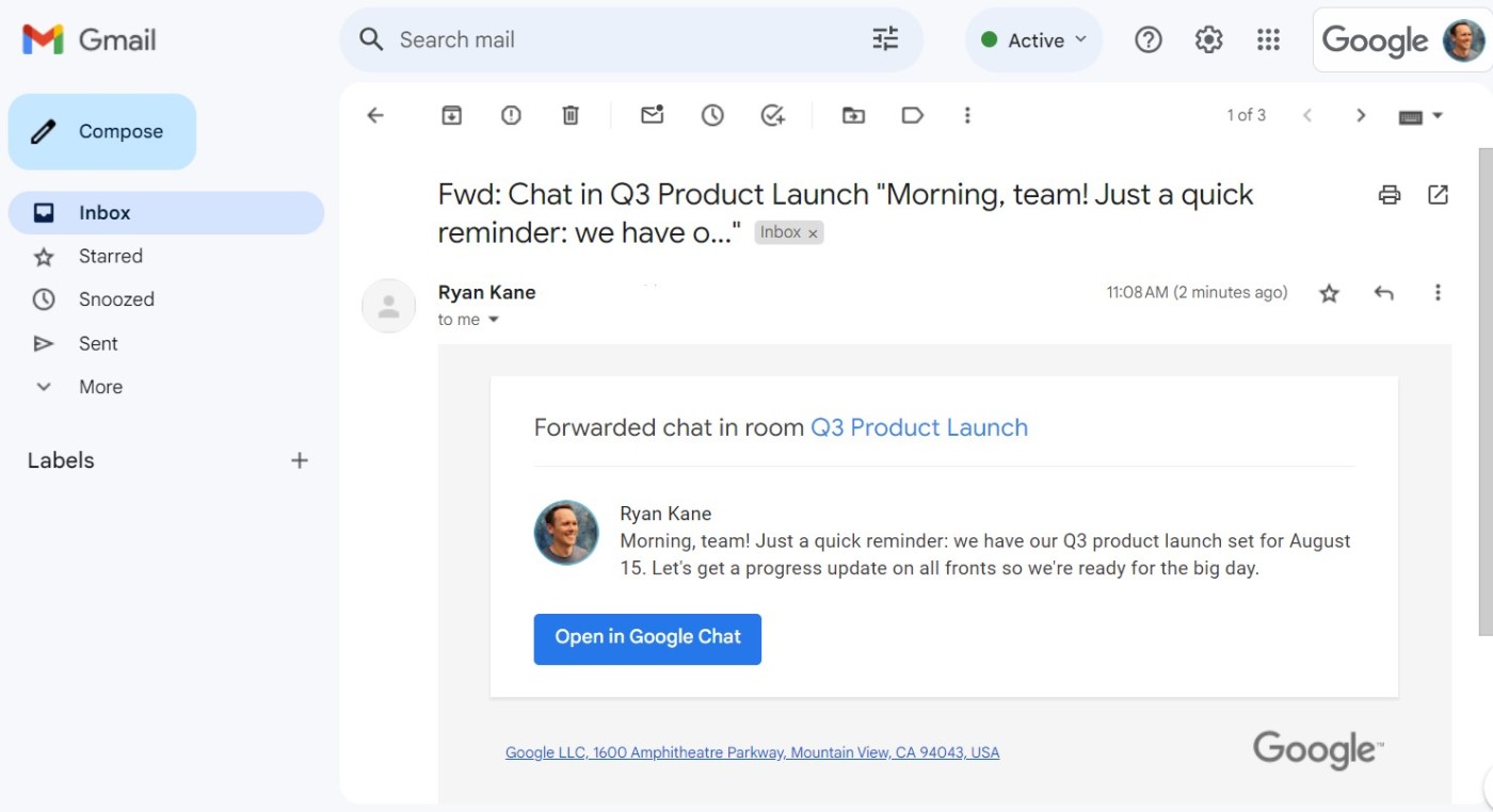 A message from Google Chat in Gmail