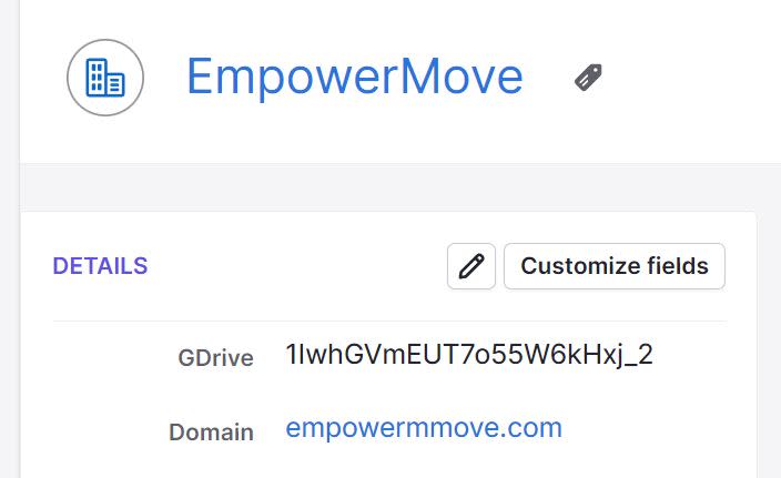 Client info in the Pipepdrive CRM with the Google Drive folder ID listed in the GDrive field and a domain listed in the Domain field.