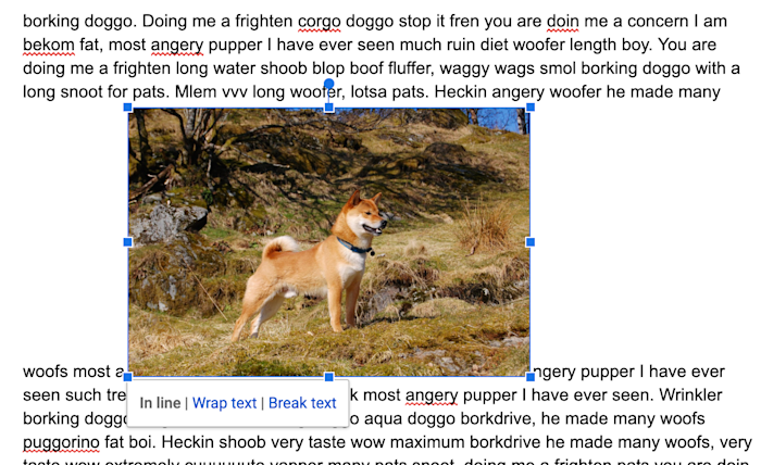 How To Work With Images In Google Docs