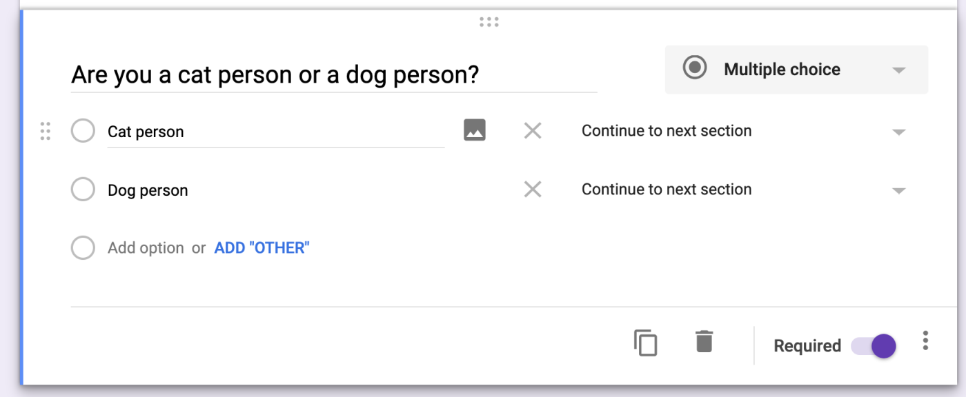 A multiple-choice question in one section of a Google Forms form. Beside each response option is the next-step action" Continue to next section." 