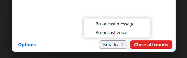 Screenshot of a breakout room panel in Zoom showing where you can click to broadcast a message to all breakout rooms