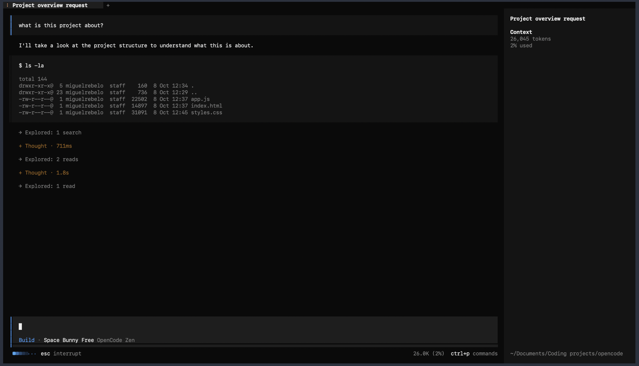 OpenCode terminal running a project overview request and executing shell commands with no permission prompt