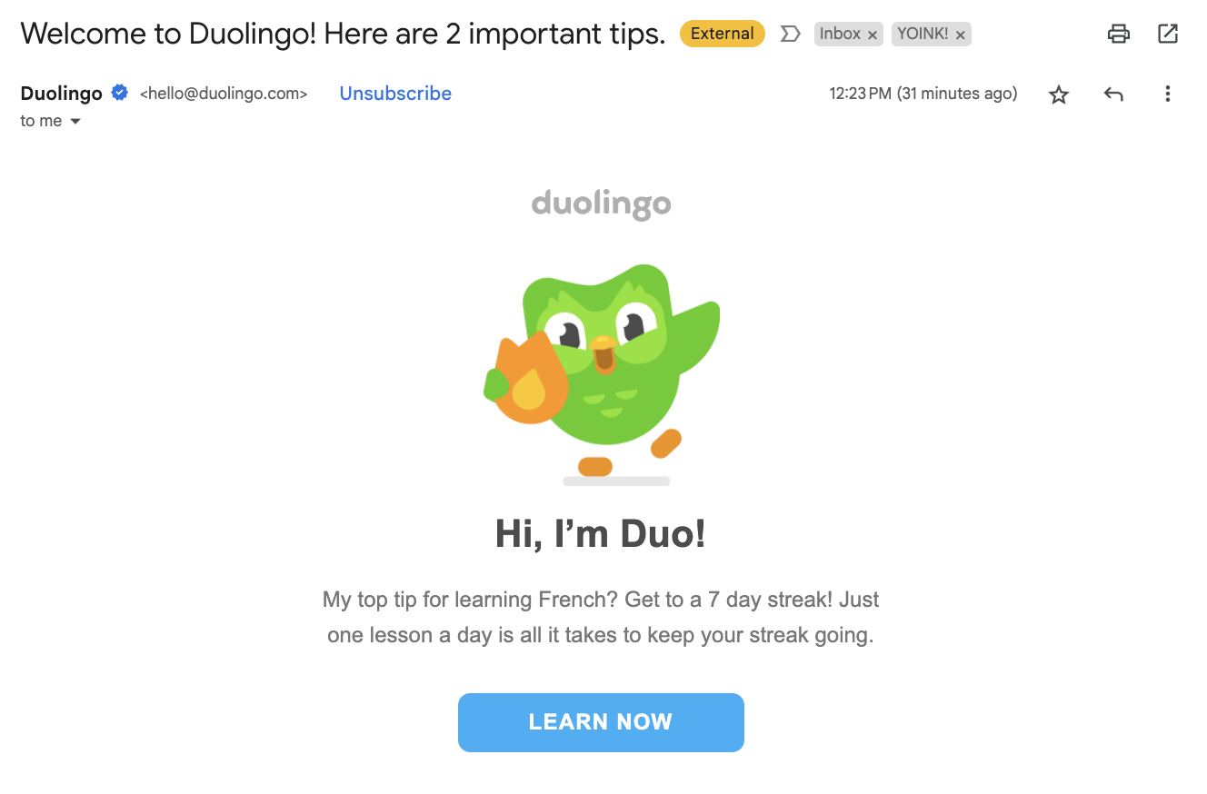 B2C welcome email marketing example from the language learning app Duolingo. 