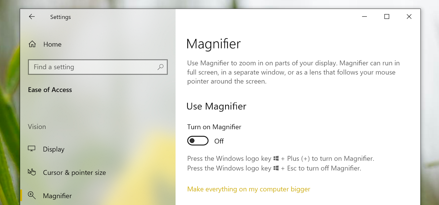 Magnifier in Windows 10