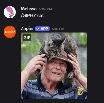 A GIF of a man with a cat on his head posted in a Discord channel.