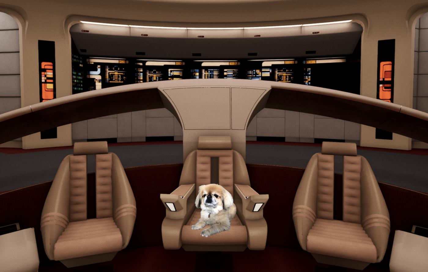 A dog on the Enterprise