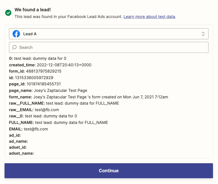 The results of a successful test, which include form entries from the selected form.