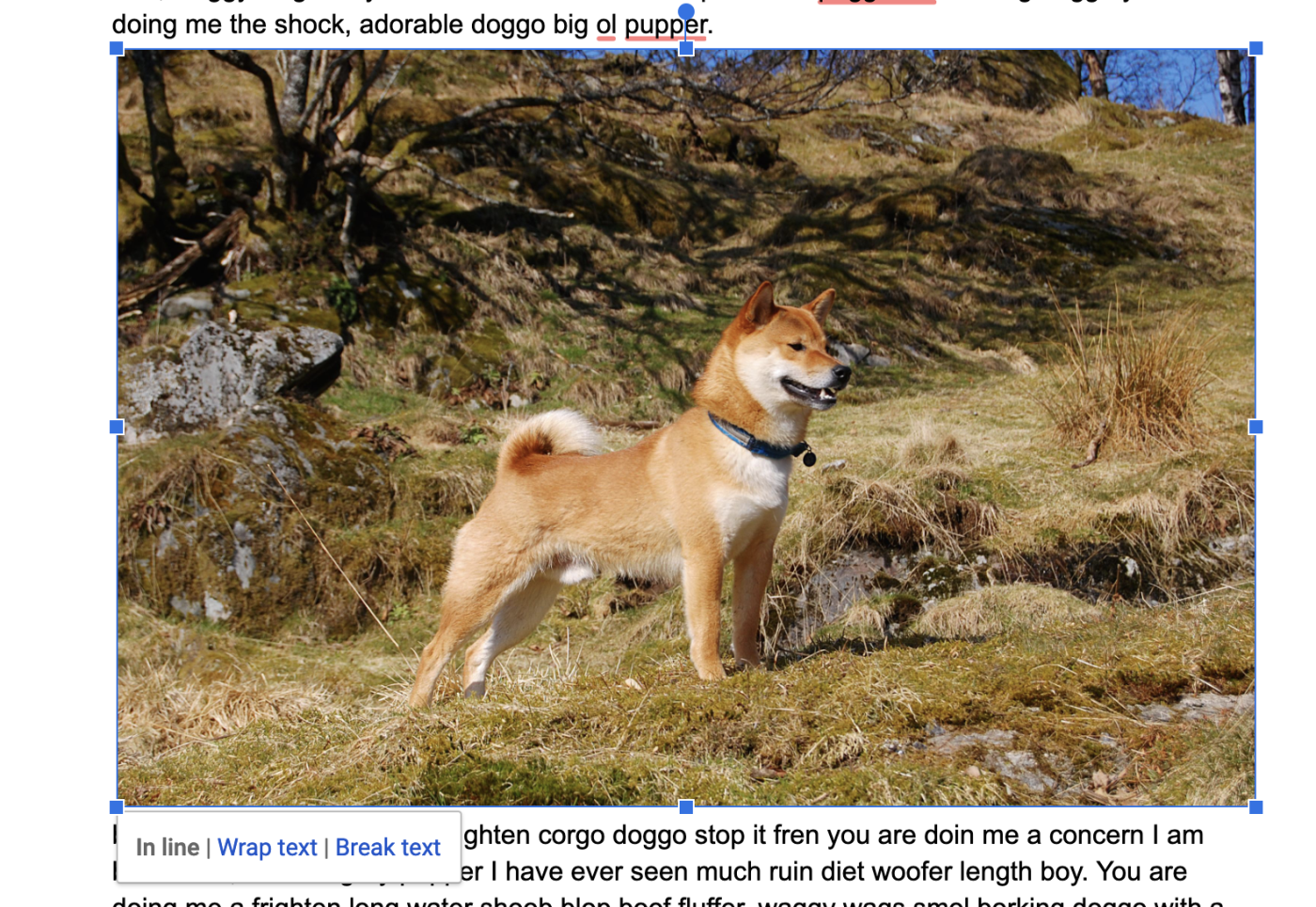 Google Docs very good dog