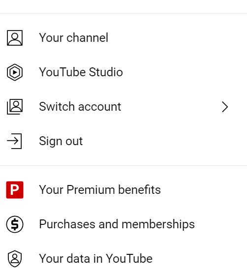 The Your data in YouTube button