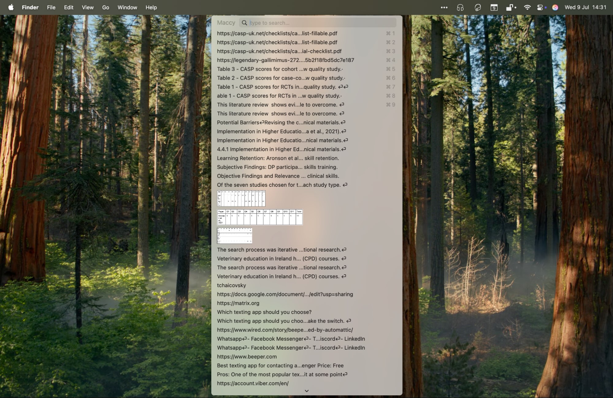 Maccy, our pick for the best affordable Mac clipboard manager