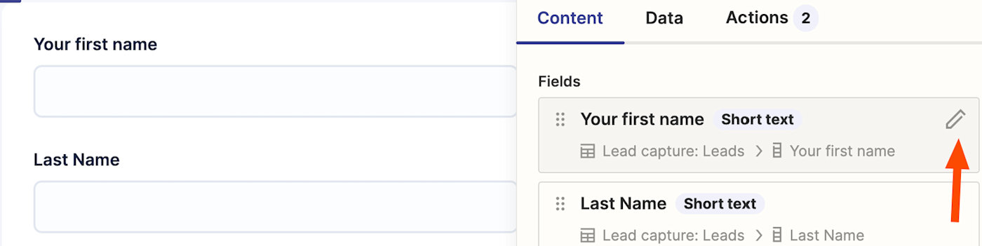 Screenshot of lead capture form fields