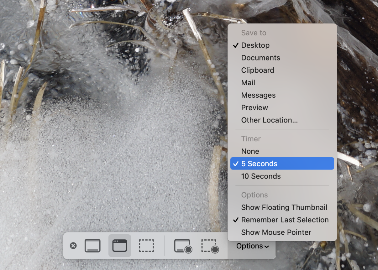 paste screen capture mac