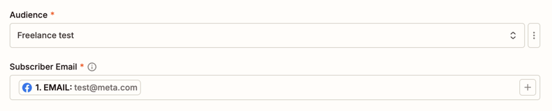 Zapier Example Audience has been selected in the Audience field with a subscriber email from a Facebook Lead Ads lead shown in the subscriber email field.