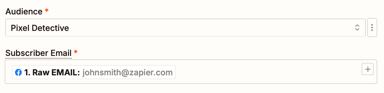 Zapier Example Audience has been selected in the Audience field with a subscriber email from a Facebook Lead Ads lead shown in the subscriber email field.