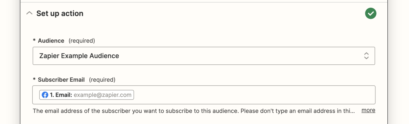 Zapier Example Audience has been selected in the Audience field with a subscriber email from a Facebook Lead Ads lead shown in the subscriber email field.