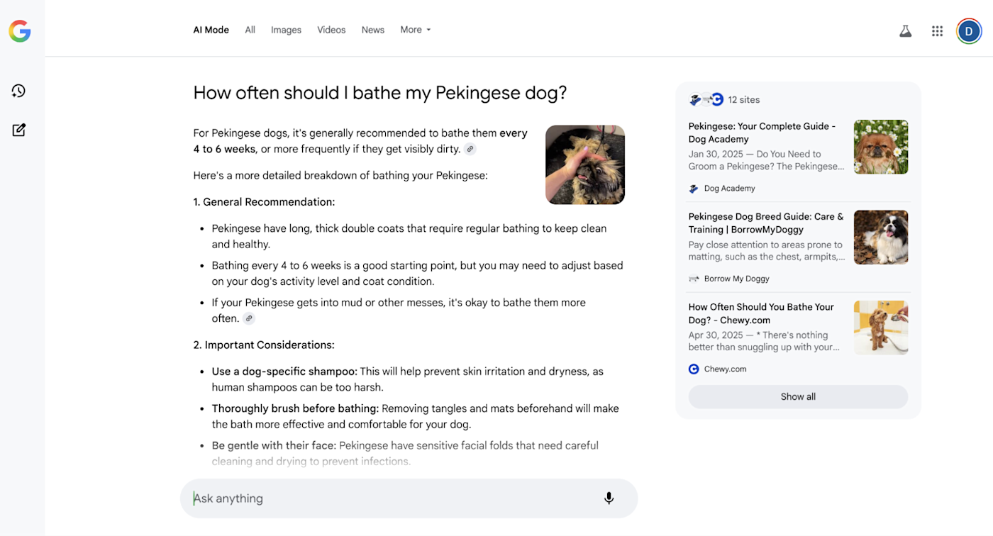 An AI Mode search on Google