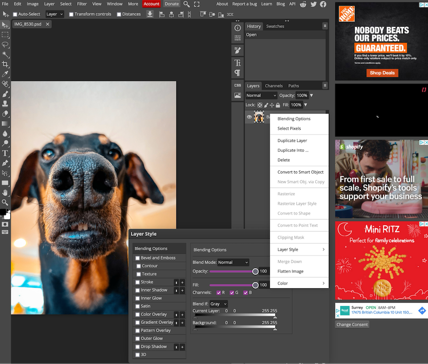 Photopea, our pick for the best free Photoshop alternatives for using custom brushes