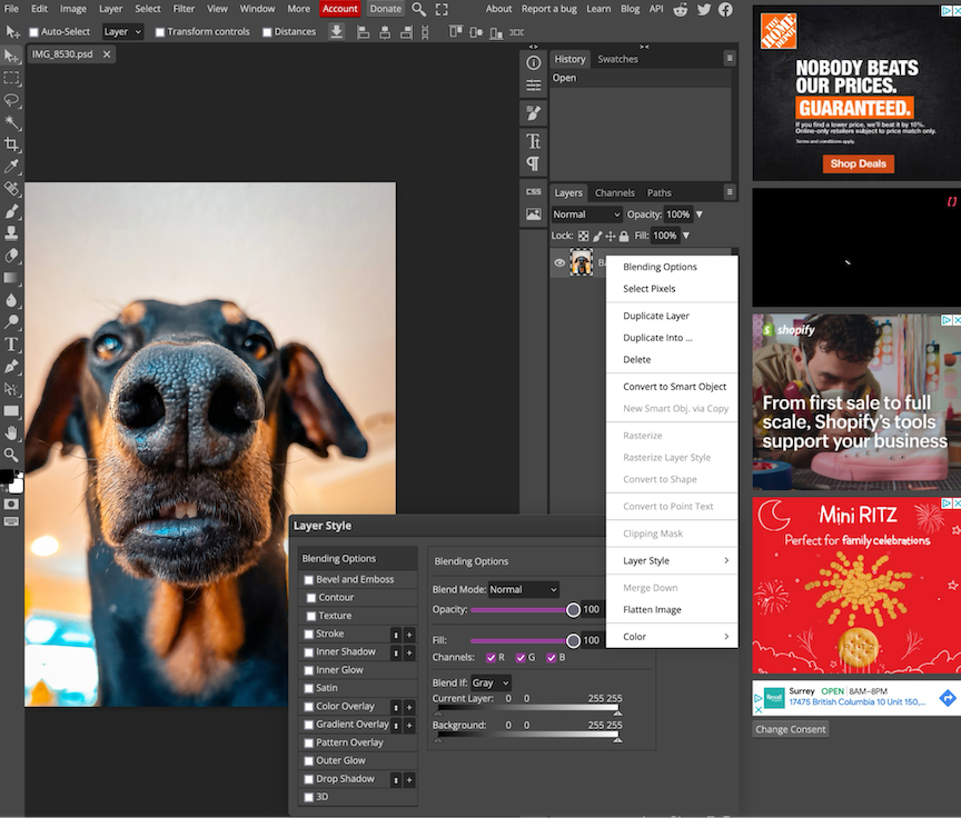 Online PhotoShop - Free Web-based Photo Editor (No Ads!)