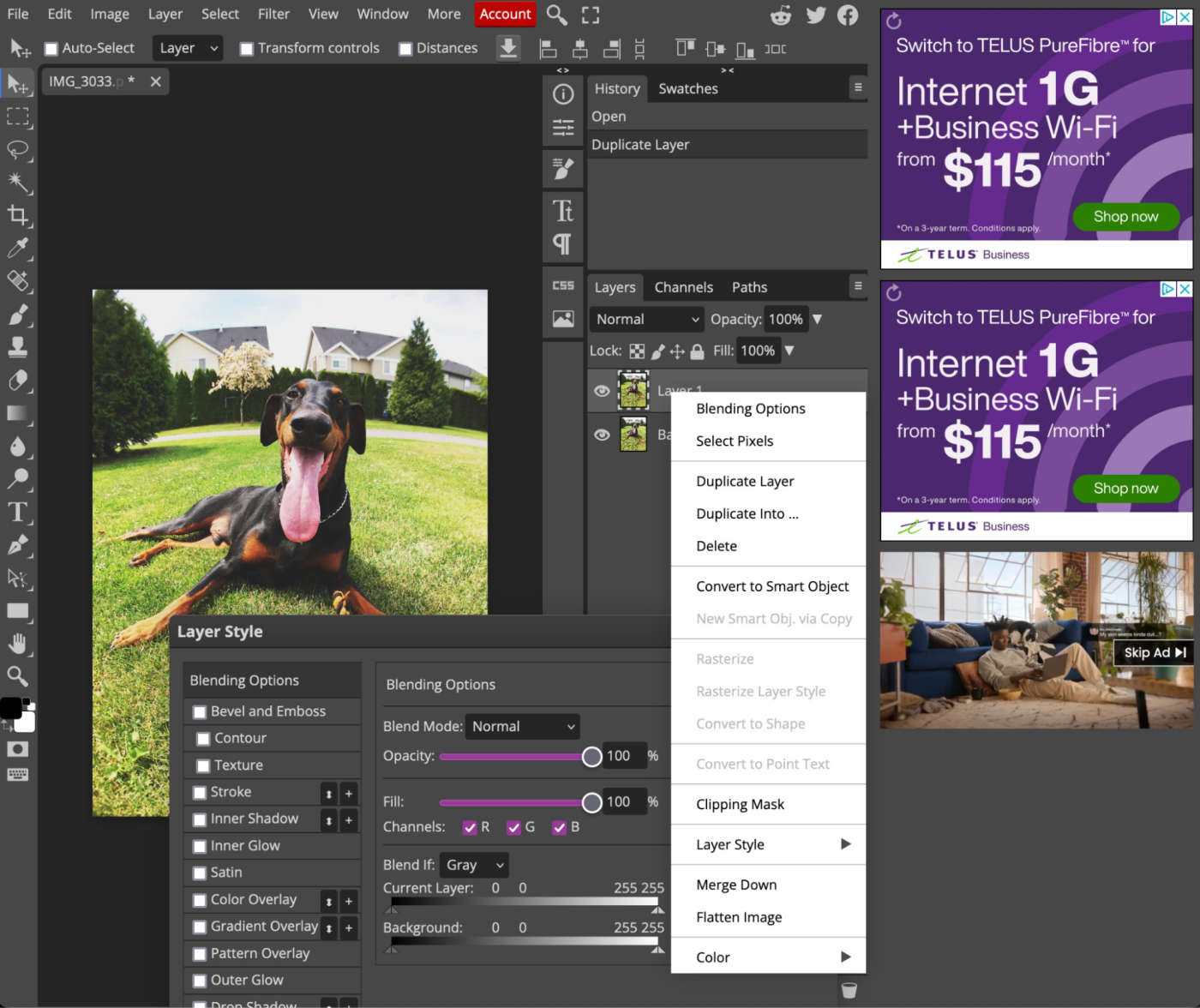 Photopea, our pick for the best free Photoshop alternatives for using custom brushes
