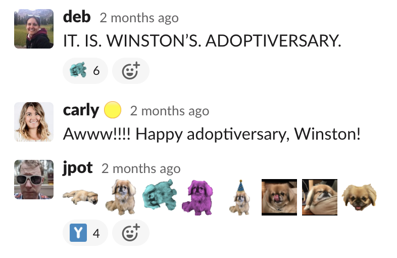 A Slack thread celebrating Winston's adoptiversary.