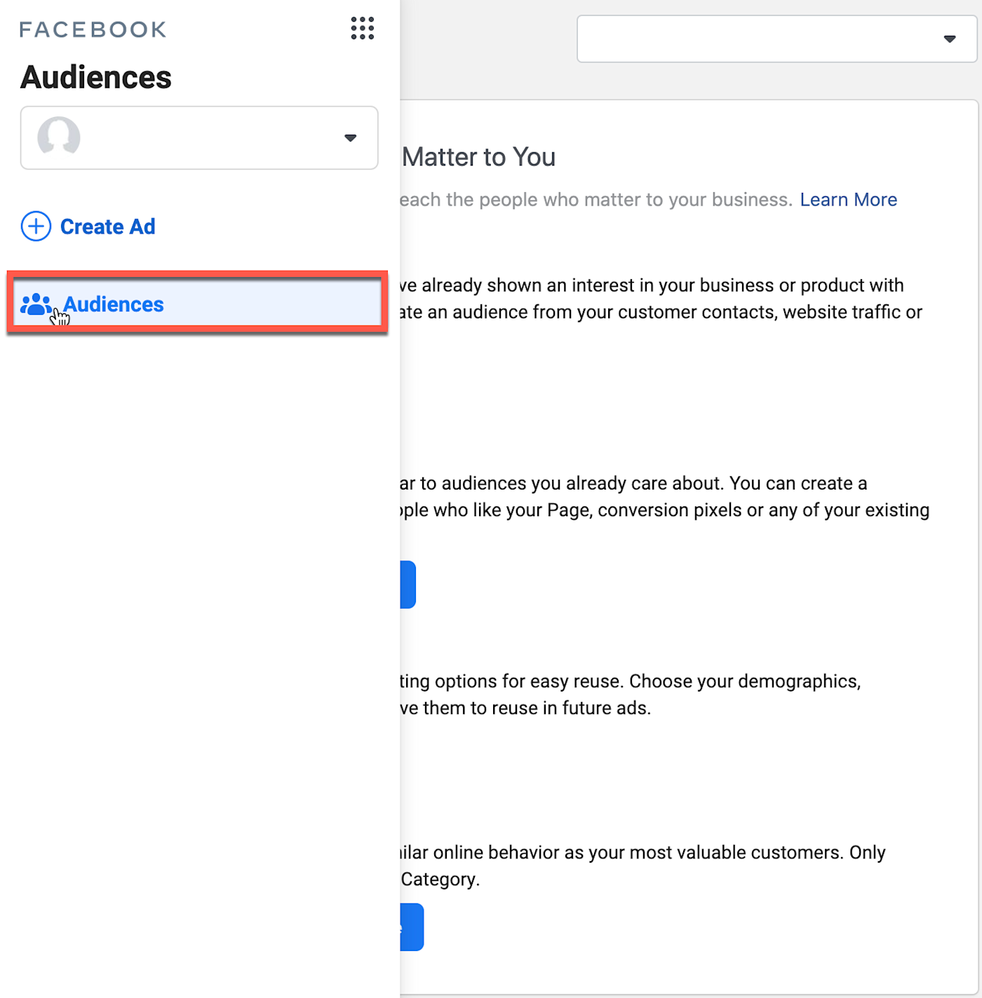The Ads Manager section with the Audience tab on the left