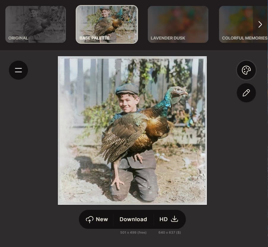 The base palette option to colorize a photo in Palette