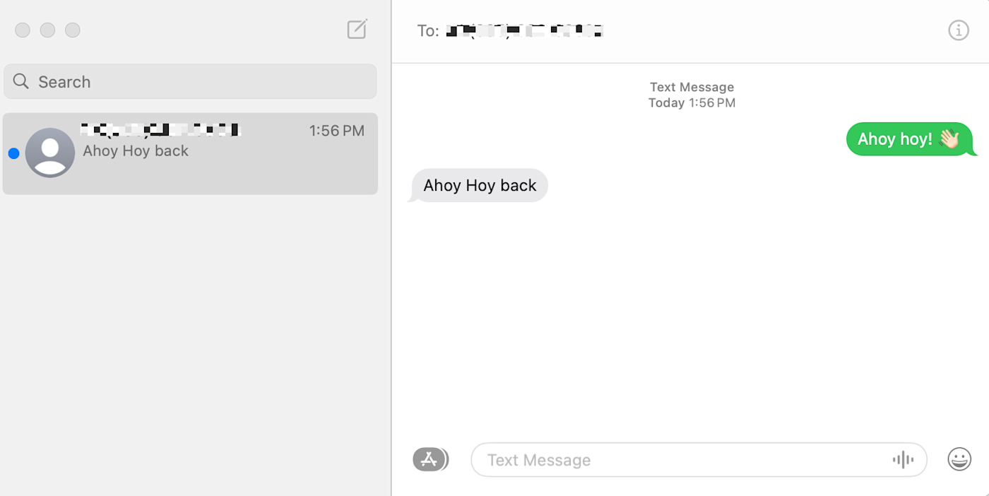 SMS thread using iMessage on a Mac.