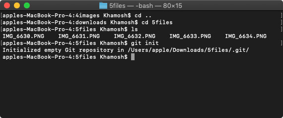 git add remote and init
