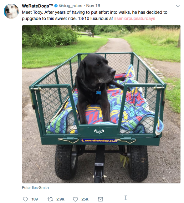 WeRateDogs Tweet