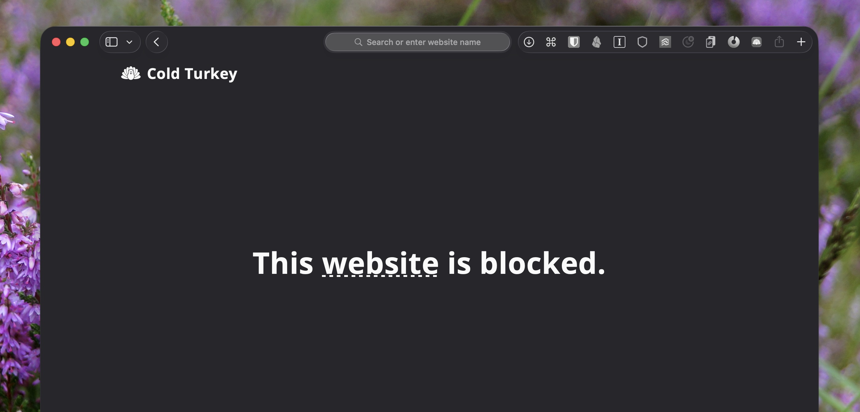 Cold Turkey, our pick for the best focus app for scheduled system-wide blocking
