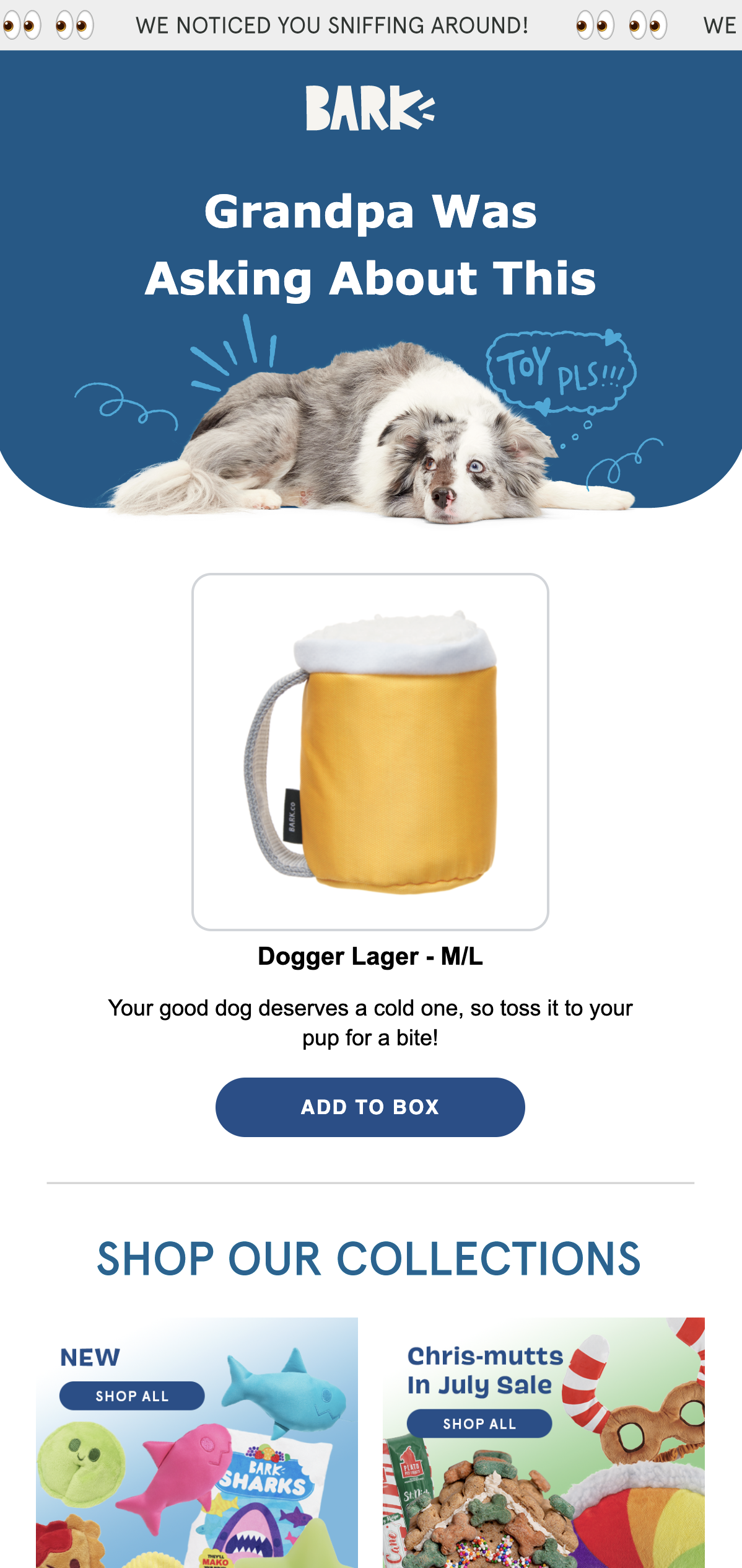 Abandoned cart email from Bark! featuring a plush toy resembling a mug of beer and the header Grandpa Was Asking About This.