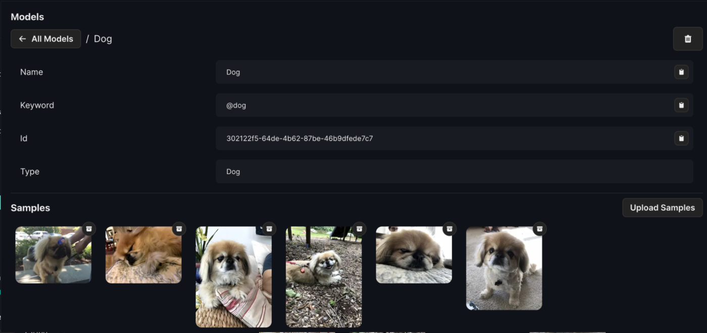 Uploading 6 pictures of Winston the dog, a Pekingese