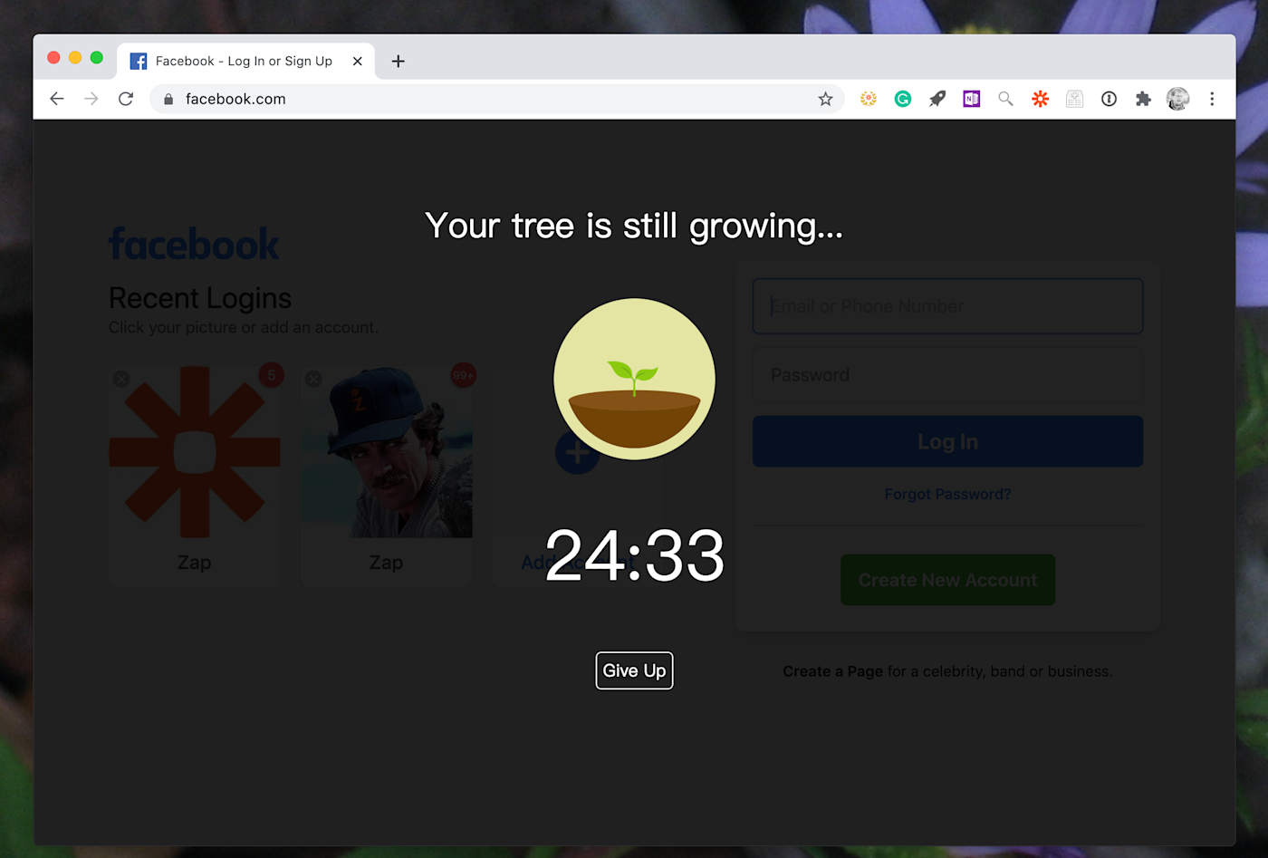 Forest for Chrome screenshot