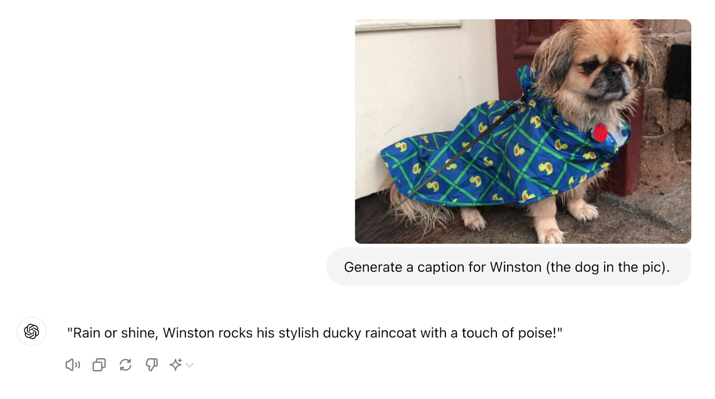 An image caption written by ChatGPT.