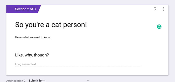 A new section in Google Forms