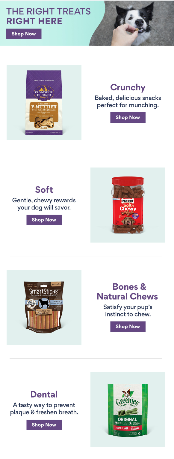 An email from Chewy showing subscribers products from a variety of categories