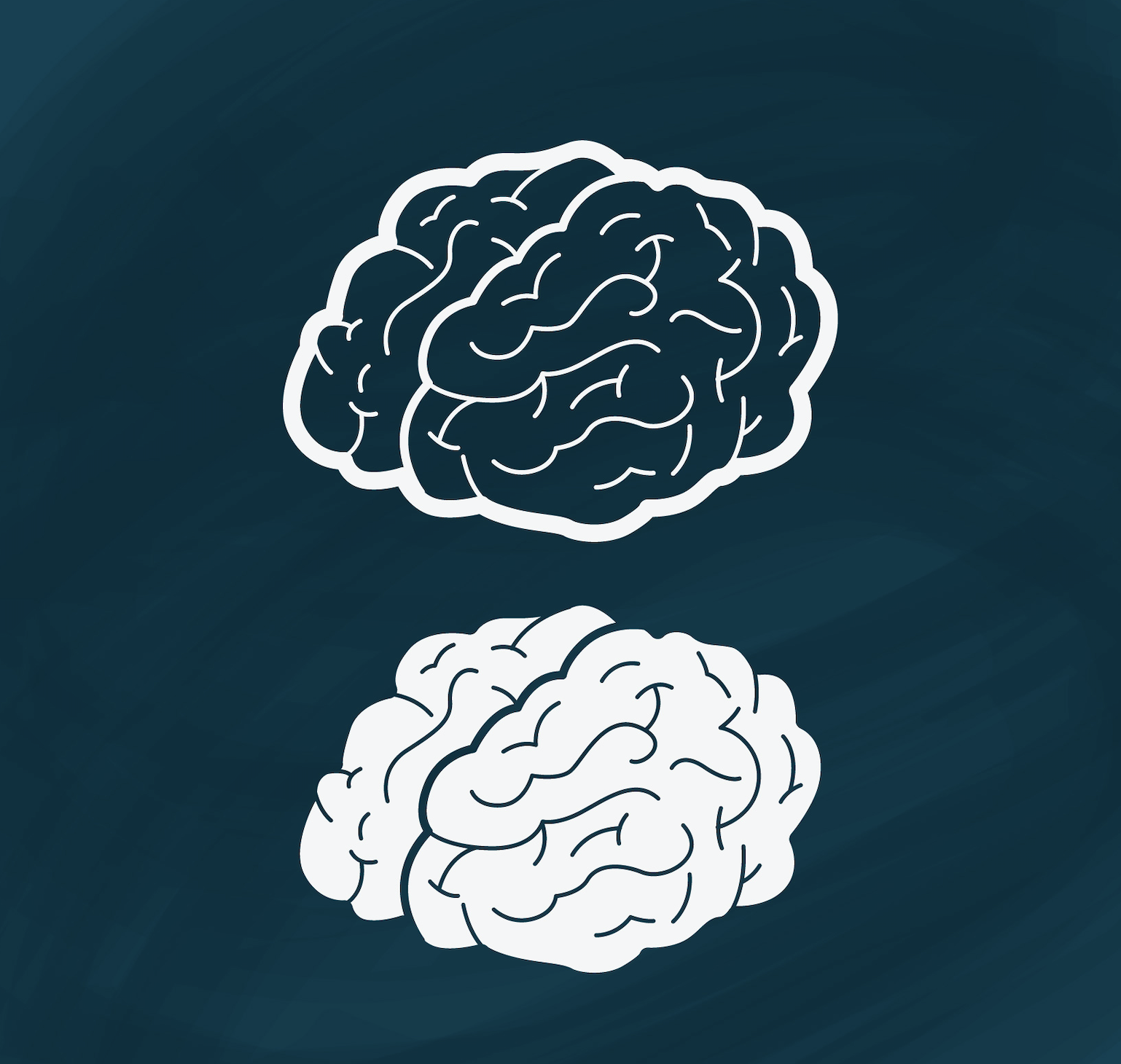 Two drawings of the brain