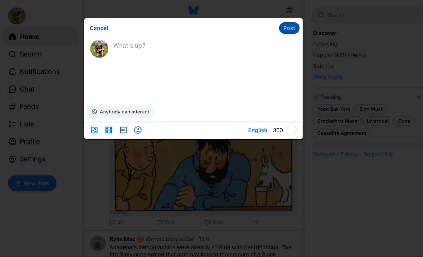 A screenshot of Bluesky social