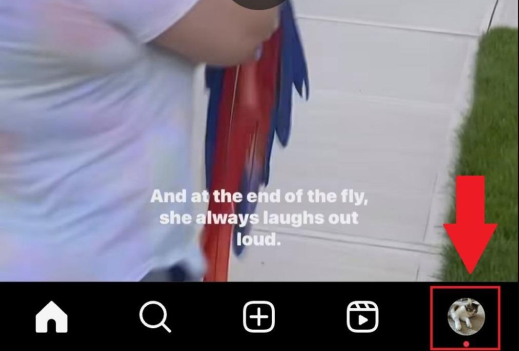 Tapping the profile picture on Instagram