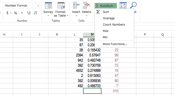 Excel AutoSum