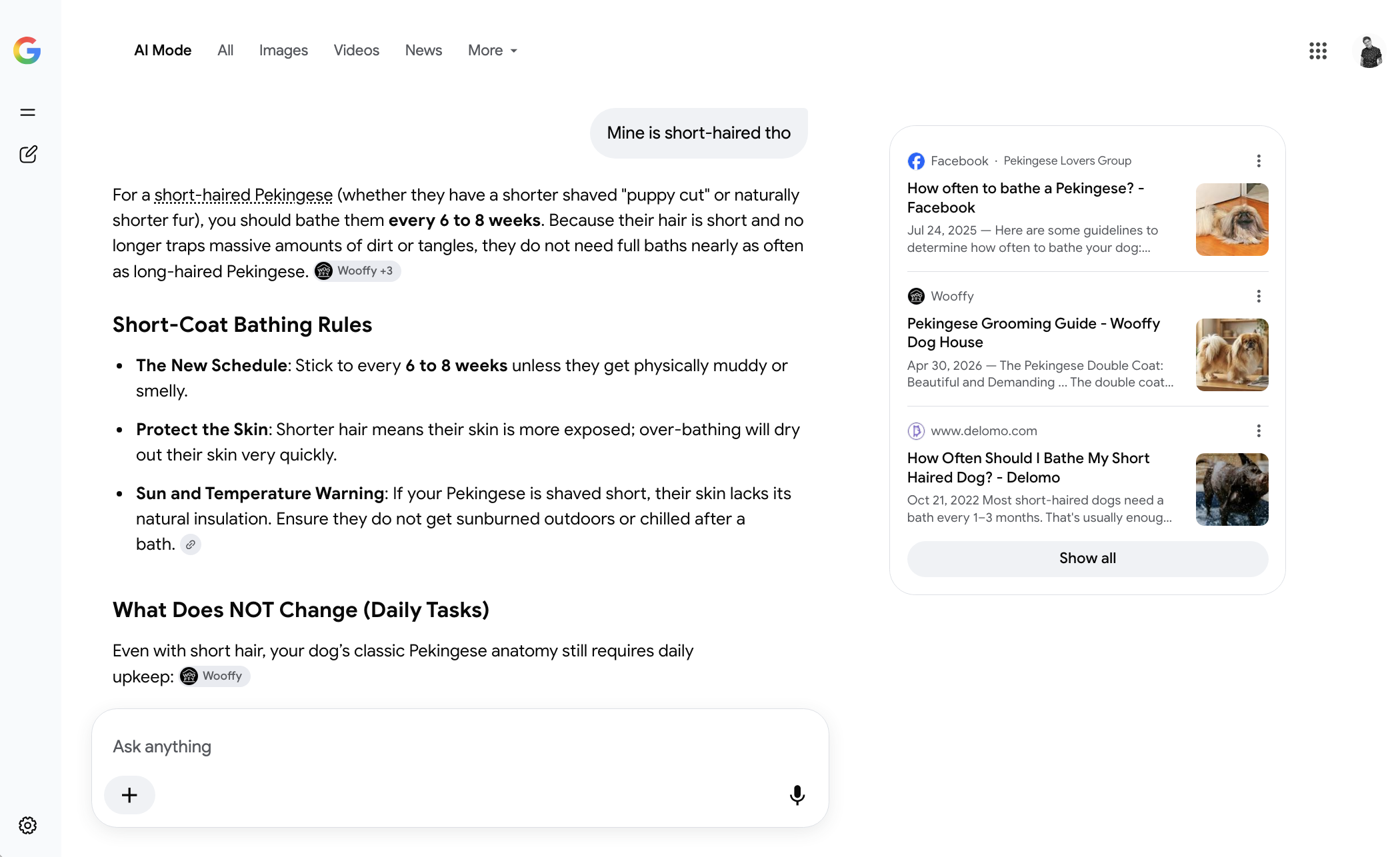 The results on a follow-up question in AI Mode search on Google