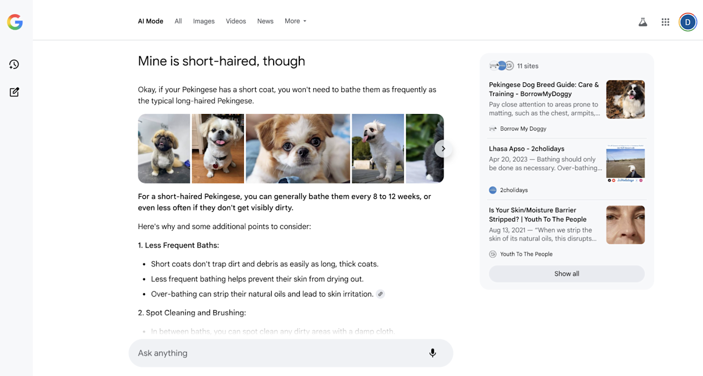 The results on a follow-up question in AI Mode search on Google