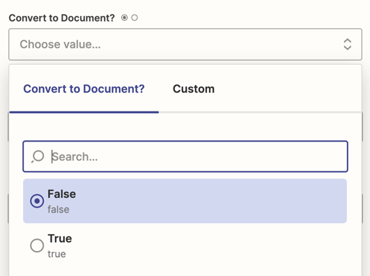 True and False buttons underneath the Convert to Document menu