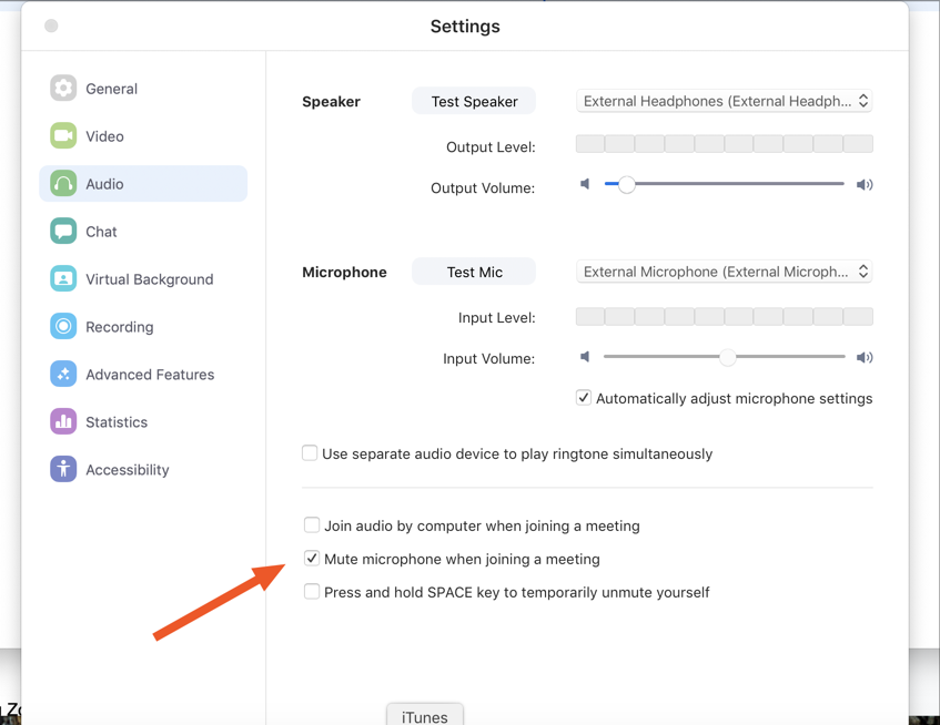 Zoom audio options