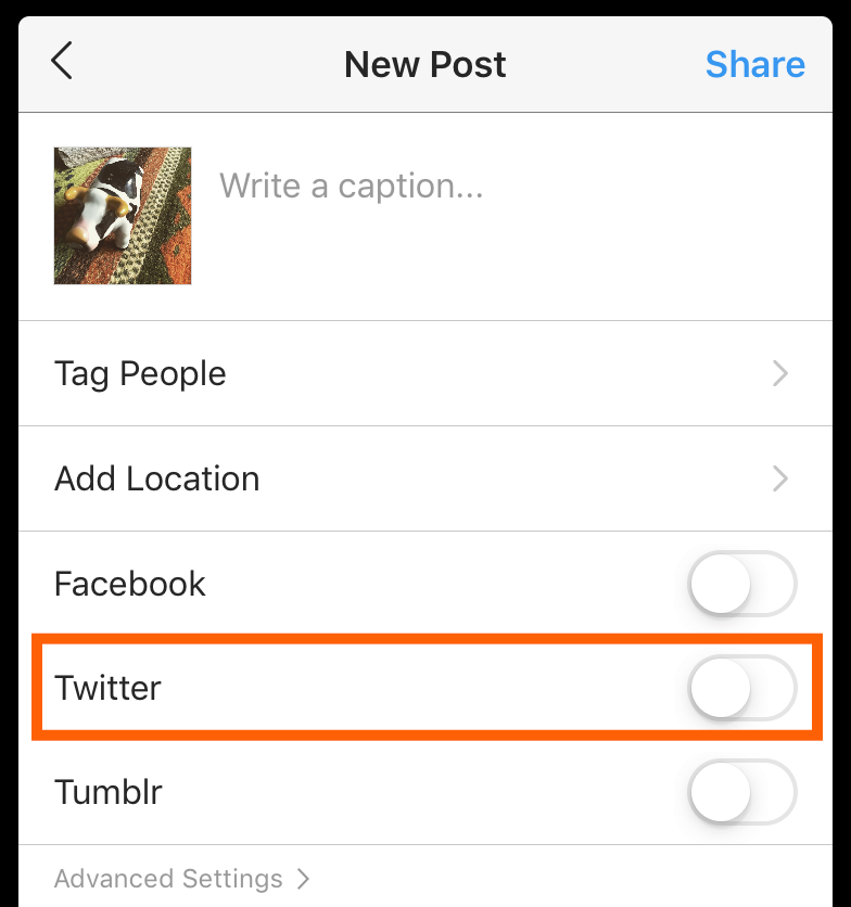 The Twitter switch in Instagram